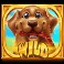Hot Dog Heist Slot-Wild-Symbol