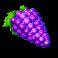 Jokerizer-slot-Grapes-symbol