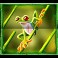 Jungle-Mega-Moolah-slot-Frog-symbol