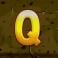 Jungle-Mega-Moolah-slot-Q-symbol