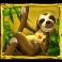Jungle-Mega-Moolah-slot-Sloth-symbol