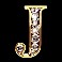 Mega-Fortune-Dreams-slot-J-symbol
