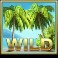 Mega-Fortune-Dreams-slot-wild-symbol