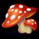 Rainbow-Riches-Cluster-Magic-slot-mushroom-symbol