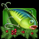 bass-cash-christmas-x-up-slot-bait-symbol