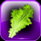 burgers-slot-lettuce-symbol