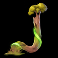 lions-saga-odyssey-slot-j-symbol