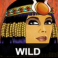 mega-moolah-goddess-slot-wild-symbol