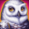 polar-bonanza-slot-owl-symbol