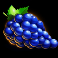 red-hot-joker-cascade-slot-grapes-symbol