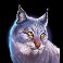 big buffalo megaways slot Cougar symbol