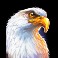 big buffalo megaways slot eagle symbol