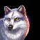 big buffalo megaways slot wolf symbol
