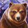 buffalo-rising-megaways-all-action-slot-bear-logo