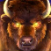buffalo-rising-megaways-all-action-slot-buffalo-logo