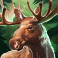 buffalo-rising-megaways-all-action-slot-moose-logo