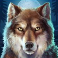 buffalo-rising-megaways-all-action-slot-wolf-logo