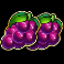 cash-strike-hotstepper-megaways-slot-grapes-symbol