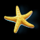 cherry-bomber-slot-starfish-symbol