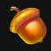 chicken_drop_acorn_symbol
