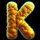 fonzos-feline-fortunes-slot-k-symbols
