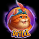 fonzos-feline-fortunes-slot-wild-symbols