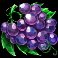 fruity-gems-slot-grapes-symbol