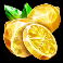 fruity-gems-slot-lemons-symbol