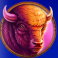 grizzly-strike-lucky-cache-buffalo-symbol