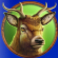 grizzly-strike-lucky-cache-deer-symbol