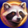grizzly-strike-lucky-cache-raccoon-symbol