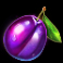 7s-luck-slot-plum-symbol