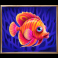 beware-the-shark-slot-orange-fish-symbol