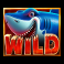 beware-the-shark-slot-wild-symbol