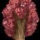 big-stack-lumberjack-slot-beech-symbol