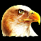 buffalo-lightning-slot-eagle-symbol
