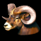 buffalo-lightning-slot-moose-symbol