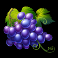 coin-of-the-nile-slot-grapes-symbol