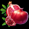 coin-of-the-nile-slot-pomegranate-symbol