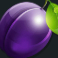 hot-spin-slot-plum-symbol
