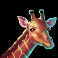 savannah-legend-slot-giraffe-symbol
