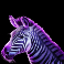 savannah-legend-slot-zebra-symbol