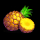 tropical-thunder-slot-pineapple-symbol