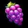 blitz-super-wheel-slot-grapes-symbol