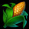 donkey-dollars-slot-corn-symbol