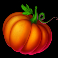 donkey-dollars-slot-pumpkin-symbol