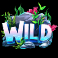 hooked-on-a-winner-slot-wild-symbol