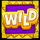 pinata-go-go-slot-wild-symbol
