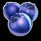 power-vault-slot-blueberries-symbol