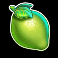 power-vault-slot-lime-symbol
